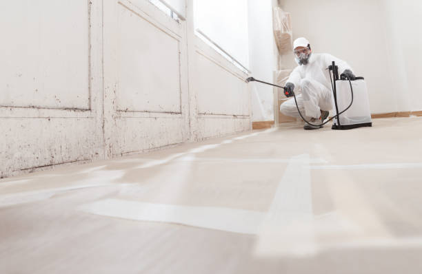 24/7 Emergency Mold Remediation experts in Rockaway, NJ